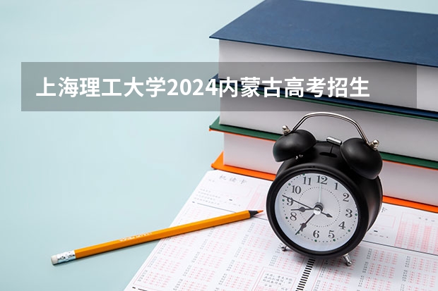 上海理工大学2024内蒙古高考招生计划详解
