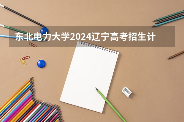 东北电力大学2024辽宁高考招生计划详解