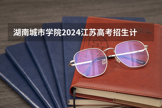湖南城市学院2024江苏高考招生计划详解