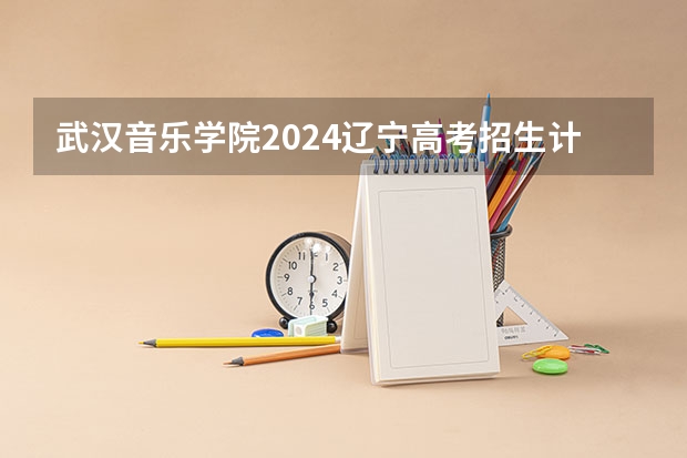 武汉音乐学院2024辽宁高考招生计划详解