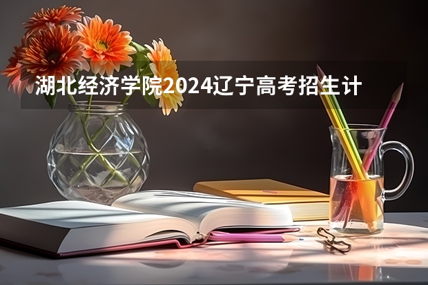 湖北经济学院2024辽宁高考招生计划详解