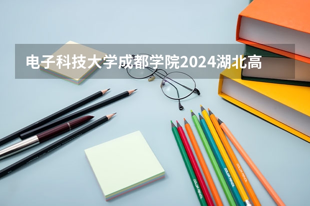 电子科技大学成都学院2024湖北高考招生计划详解
