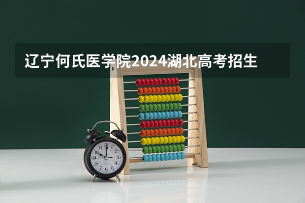 辽宁何氏医学院2024湖北高考招生计划详解