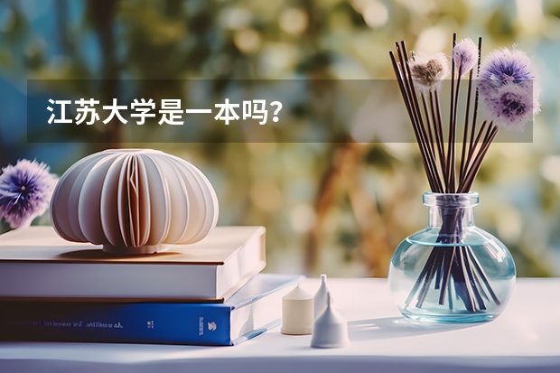 江苏大学是一本吗？