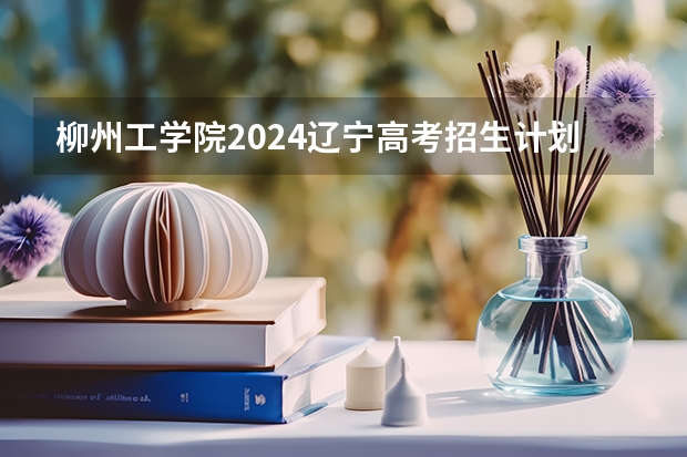 柳州工学院2024辽宁高考招生计划详解