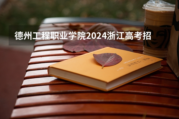 德州工程职业学院2024浙江高考招生计划详解