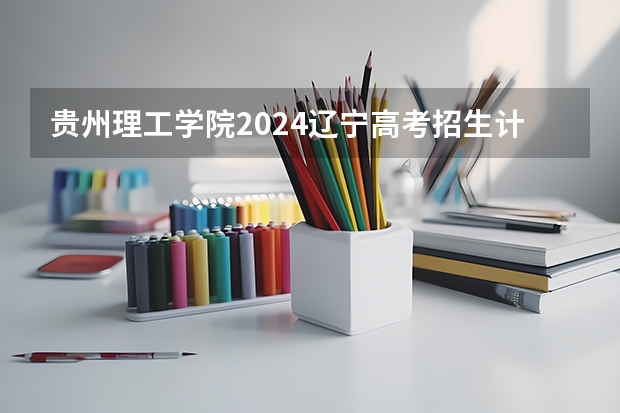 贵州理工学院2024辽宁高考招生计划详解