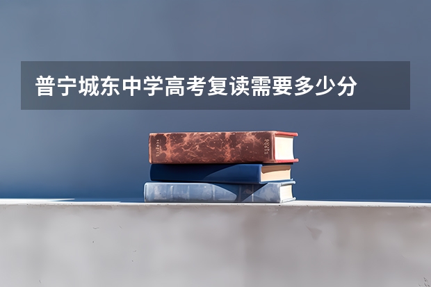 普宁城东中学高考复读需要多少分
