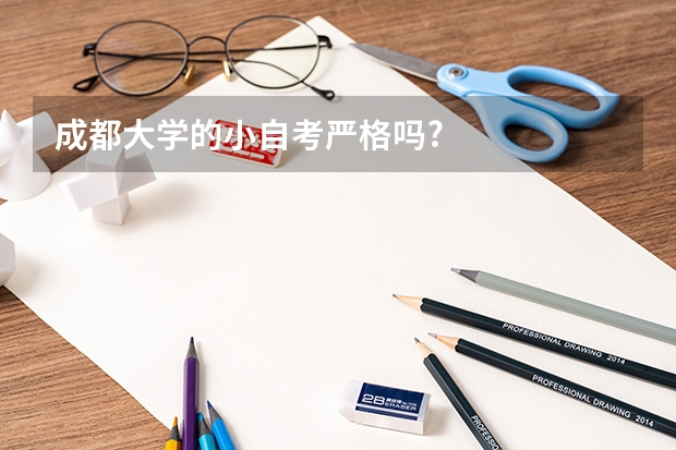 成都大学的小自考严格吗?