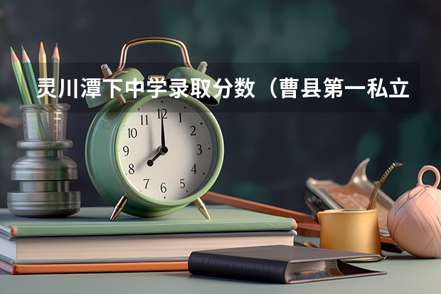 灵川潭下中学录取分数（曹县第一私立高中升学率）