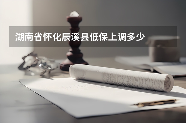 湖南省怀化辰溪县低保上调多少