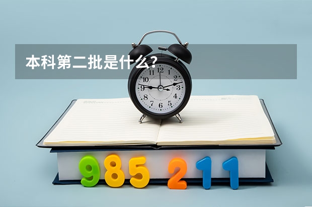 本科第二批是什么？