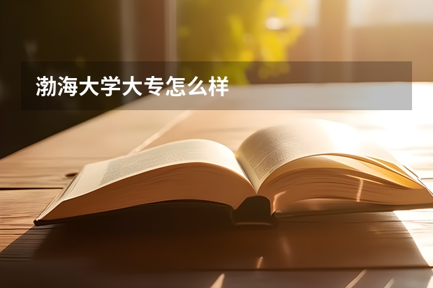 渤海大学大专怎么样