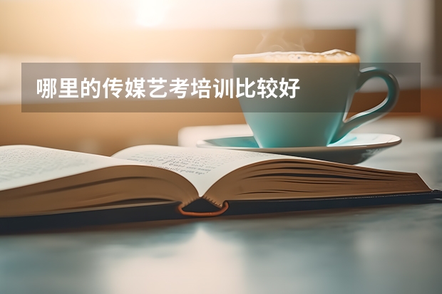 哪里的传媒艺考培训比较好