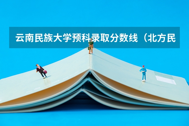 云南民族大学预科录取分数线（北方民族大学艺术类录取分数线）