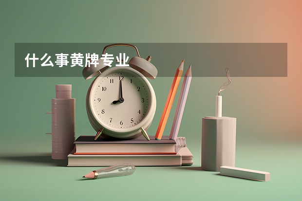 什么事黄牌专业