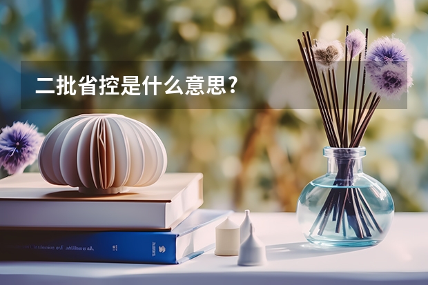 二批省控是什么意思?