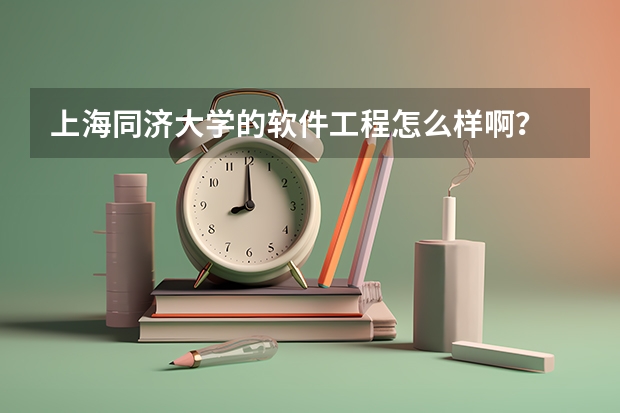 上海同济大学的软件工程怎么样啊？