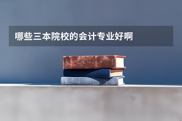哪些三本院校的会计专业好啊