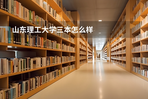山东理工大学三本怎么样