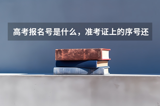 高考报名号是什么，准考证上的序号还是