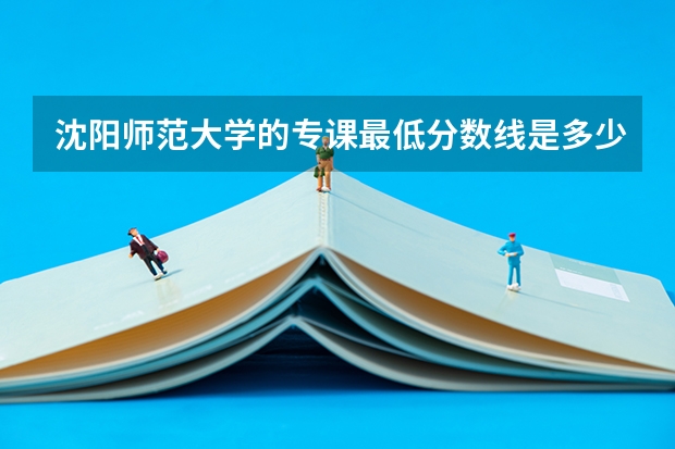 沈阳师范大学的专课最低分数线是多少呢？？