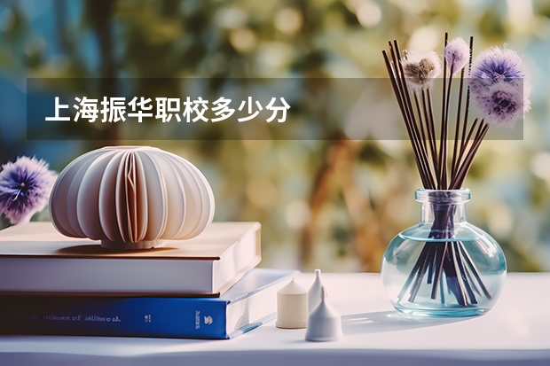 上海振华职校多少分