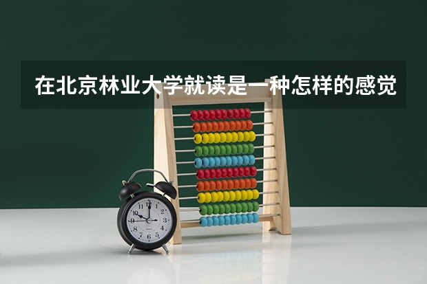 在北京林业大学就读是一种怎样的感觉？（在北京外国语大学就读是一种怎样的感觉？）