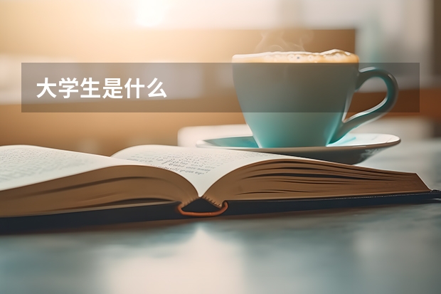 大学生是什么
