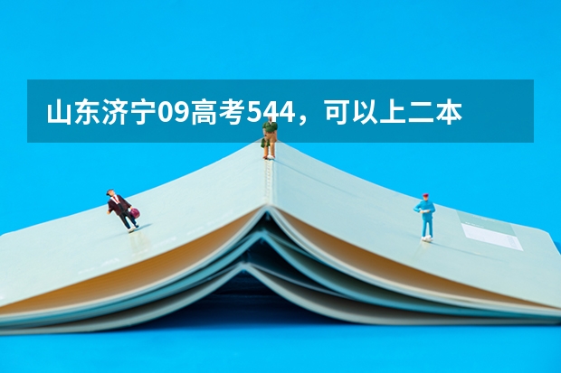 山东济宁09高考544，可以上二本吗？