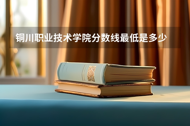 铜川职业技术学院分数线最低是多少