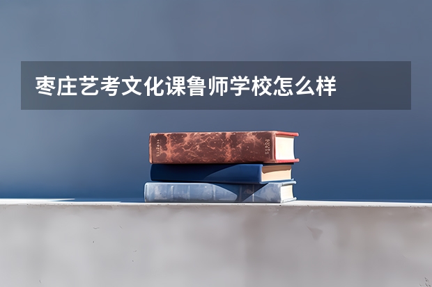 枣庄艺考文化课鲁师学校怎么样