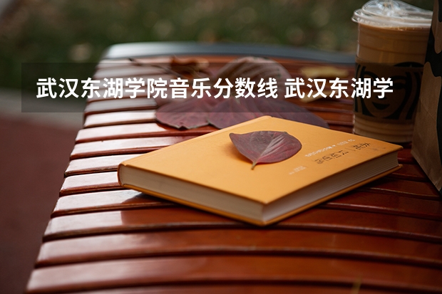 武汉东湖学院音乐分数线 武汉东湖学院专升本分数线