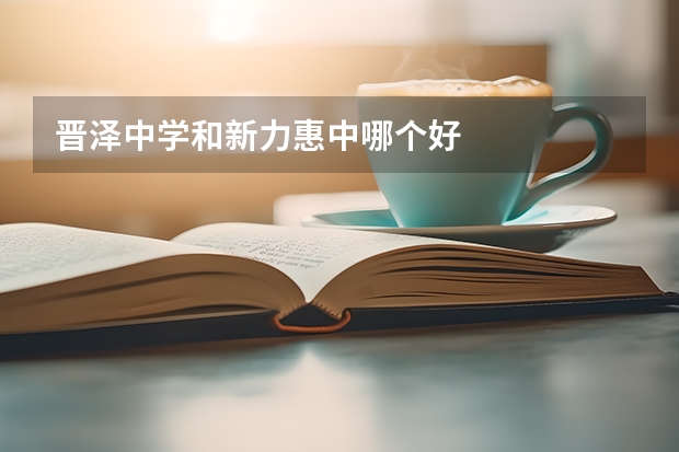 晋泽中学和新力惠中哪个好