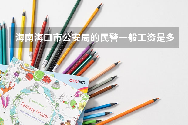 海南海口市公安局的民警一般工资是多少？