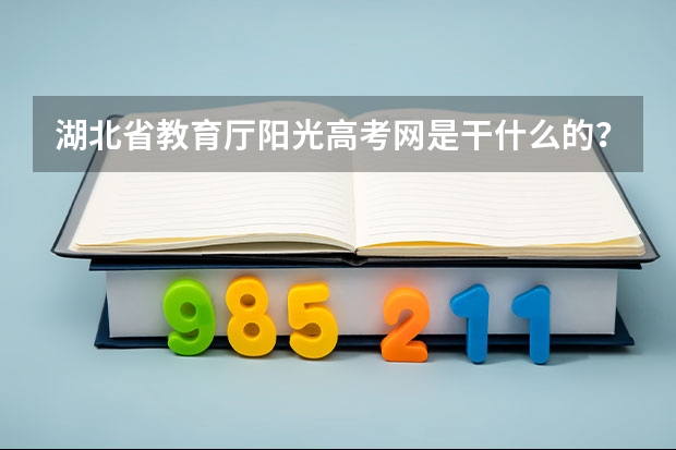 湖北省教育厅阳光高考网是干什么的？