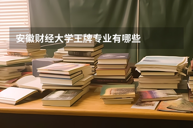 安徽财经大学王牌专业有哪些