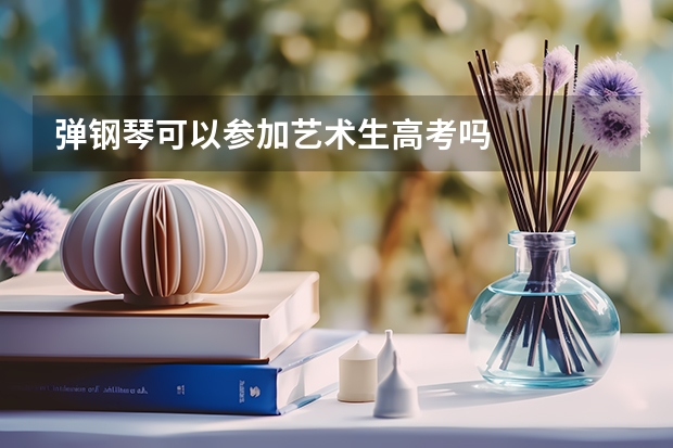 弹钢琴可以参加艺术生高考吗