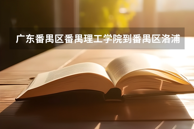 广东番禺区番禺理工学院到番禺区洛浦街东乡村碧桂路3号怎么走