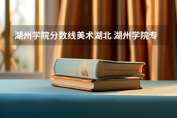 湖州学院分数线美术湖北 湖州学院专业分数线