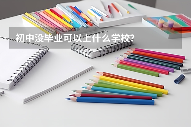 初中没毕业可以上什么学校？