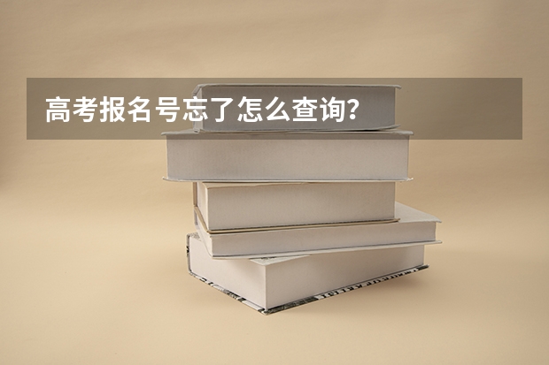 高考报名号忘了怎么查询？