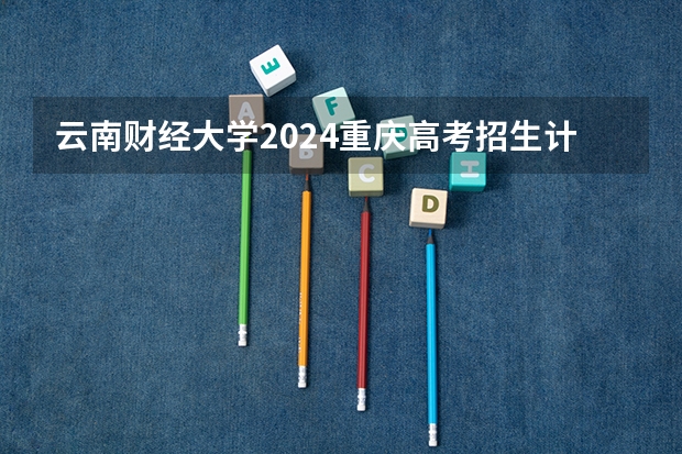 云南财经大学2024重庆高考招生计划详解