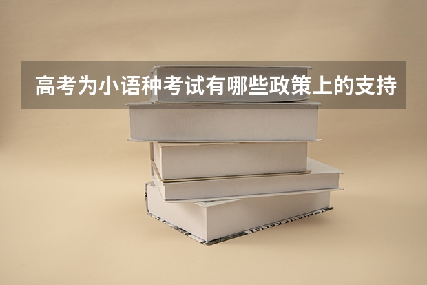 高考为小语种考试有哪些政策上的支持？