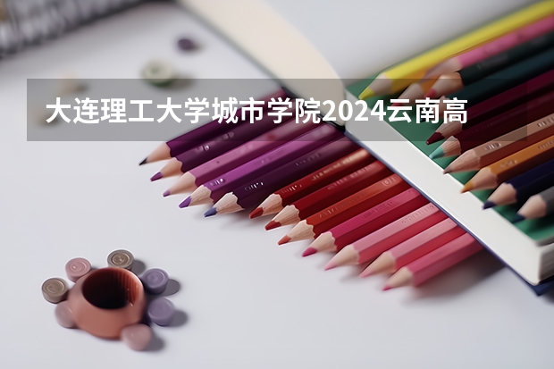 大连理工大学城市学院2024云南高考招生计划详解