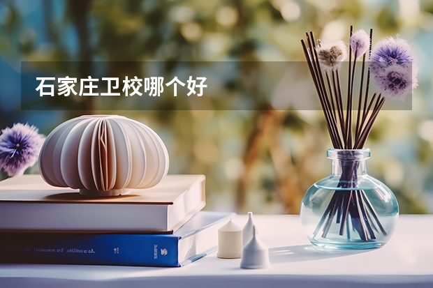 石家庄卫校哪个好