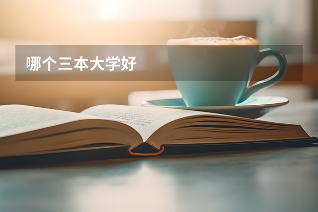 哪个三本大学好