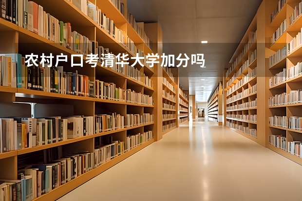 农村户口考清华大学加分吗