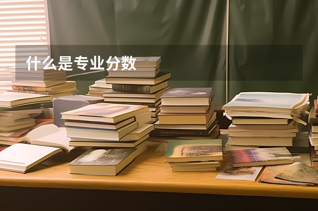 什么是专业分数