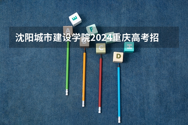 沈阳城市建设学院2024重庆高考招生计划详解